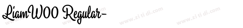 LiamW00 Regular字体转换